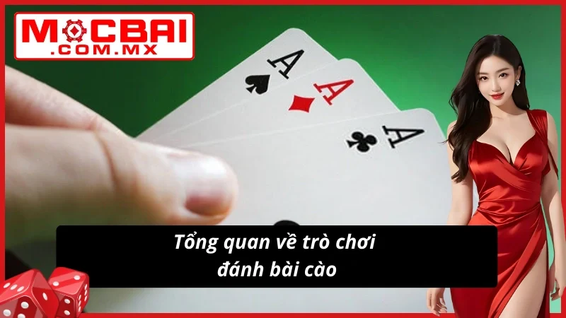 Tìm hiểu về bài cào trực tuyến