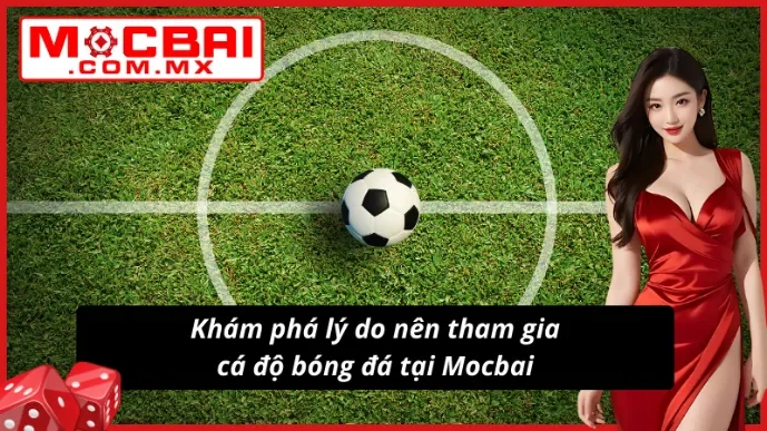 Khám phá lý do nên cá độ bóng đá tại website