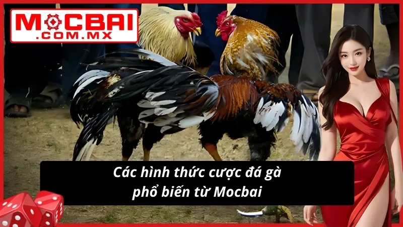 Đa hình thức kèo Đá Gà đầy tiềm năng