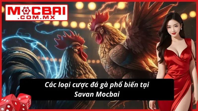 Đá Gà Savan với nhiều lựa chọn cược chất lượng