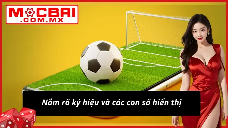 Tìm hiểu con số hiển thị và ký hiệu rõ ràng trên bảng kèo châu Âu