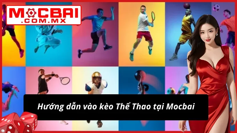 Trải nghiệm cược Thể Thao đơn giản cho người mới